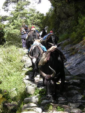 Nepal2008_239