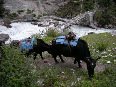 Nepal2008_314