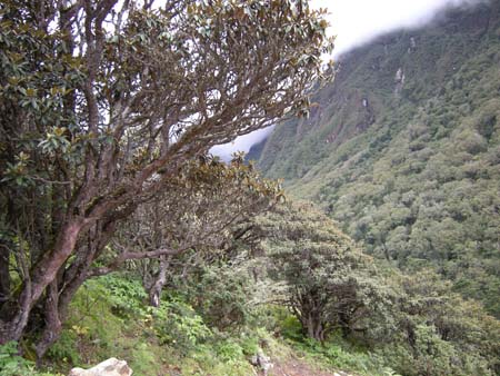 Nepal2008_316