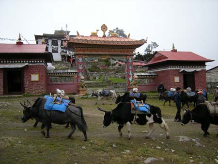 Nepal2008_321