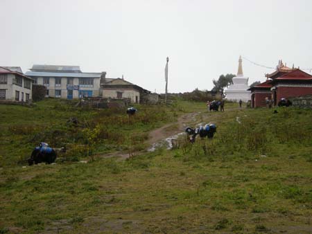 Nepal2008_323