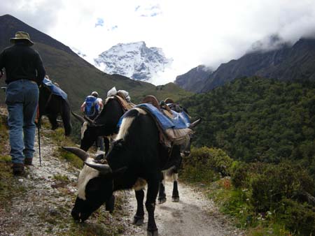 Nepal2008_352