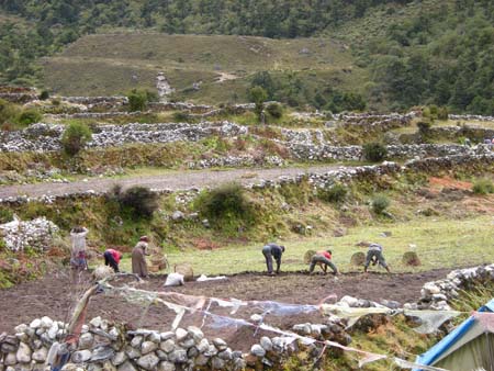 Nepal2008_356