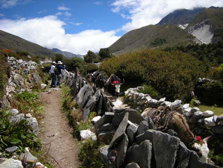 Nepal2008_362