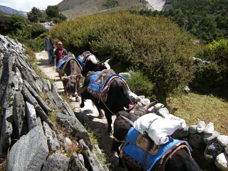 Nepal2008_363