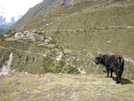 Nepal2008_367