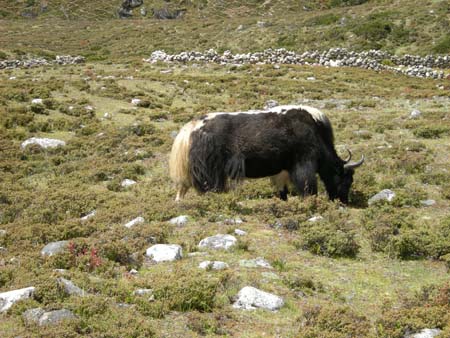 Nepal2008_376