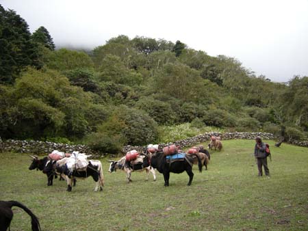 Nepal2008_380