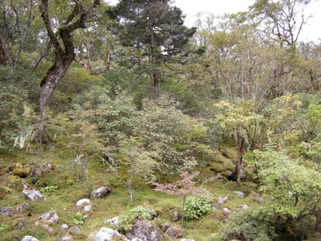 Nepal2008_381