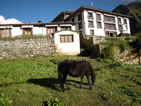 Nepal2008_395