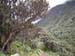 Nepal2008_316