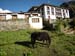 Nepal2008_395